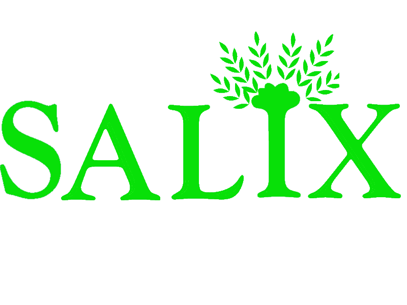 Salix GmbH