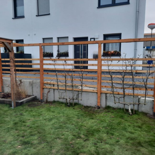 Ein Gitterzaun aus Holz, an dem grüne Kletterpflanzen hochranken.