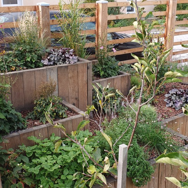 in Treppe angeordnetes Holzbeet mit diversen Pflanzen