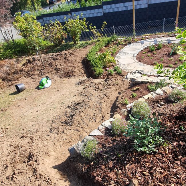 Beet im Prozess gebaut zu werden