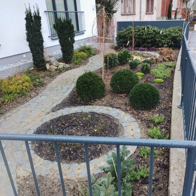 Große Beete neben Weg mit runden Büschen und kleinen Bäumen