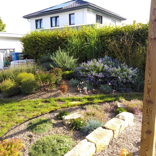 Garten mit Hecke, Wiese und verschiedenen arten von Beeten