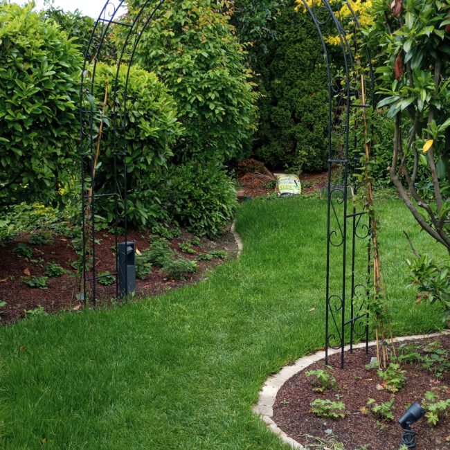 gemütlicher kleiner Garten umgeben von Sicht-schützenden Bäumen mit Metallbogen im Zentrum