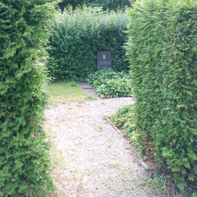 Hecken im Friedhof als Abgrenzung der Wege benutzt für mehr Privatsühäre