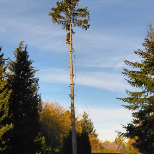 {"capture_mode":"AutoModule","faces":[]}